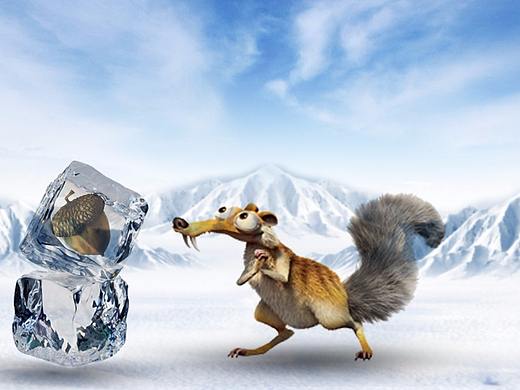 酒 和松鼠看冰
