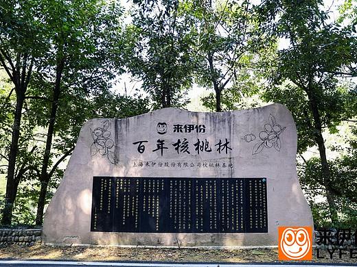 来伊份logo携旗下多款产品强势植入《女心》，成为剧中一道独特风景