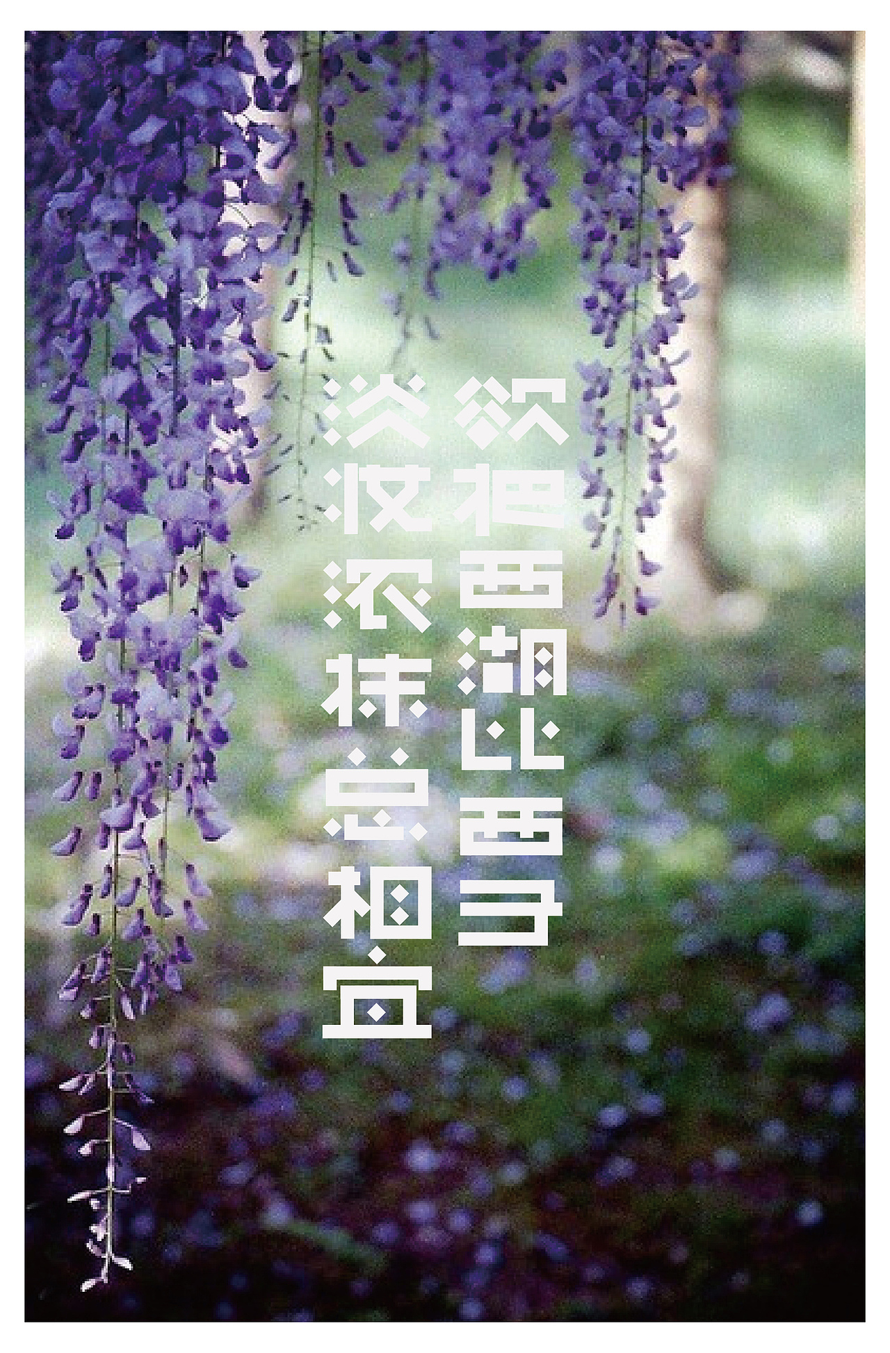 戊辰设计【描写西湖的诗句】