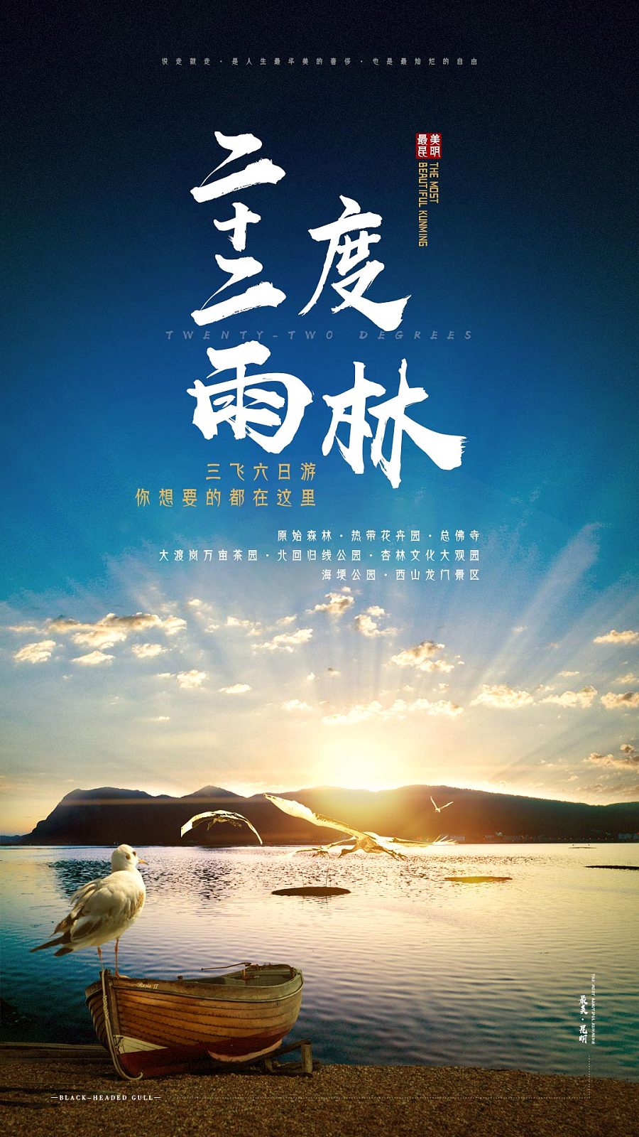 二十二度雨林|海报|平面|jd_man77 - 原创设计作品 - 站酷 (zcool)