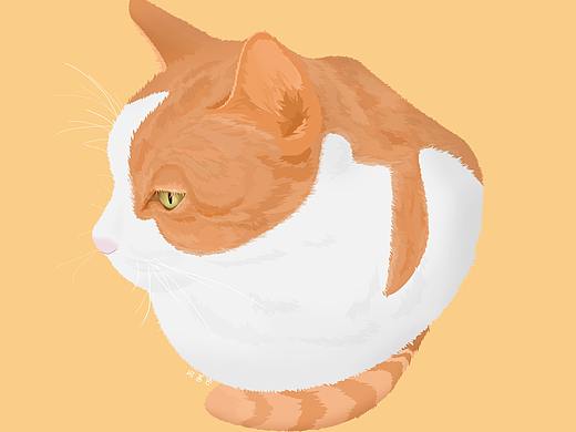 我家的大小喵~~（个人主页-ZMjg2OTY2MDg=） - 创作习作 - 站酷设计师CICI茜原创素材 - 站酷ZCOOL