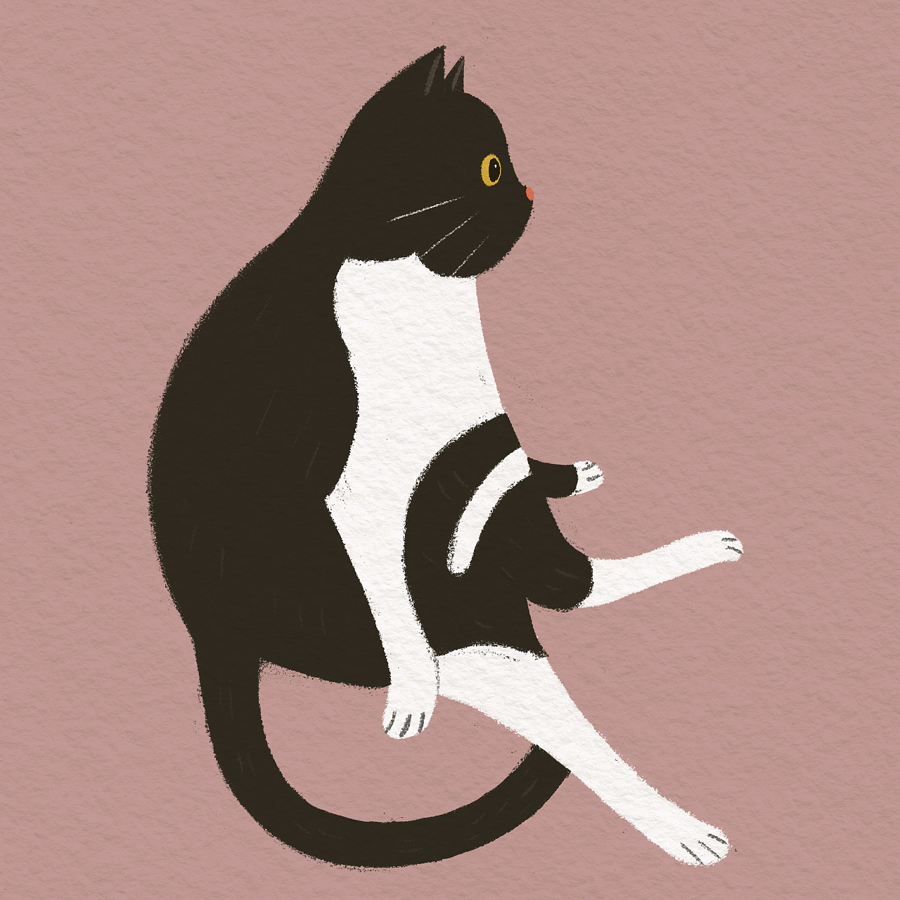 小猫坐姿|插画|插画习作|ding丁丁 - 原创作品 - 站酷 (zcool)