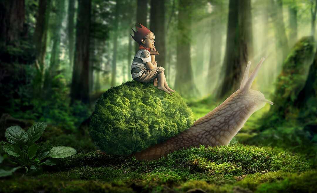 2020年 海报练习汇总