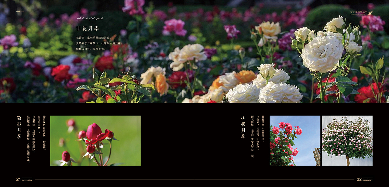 地产景观花园手册