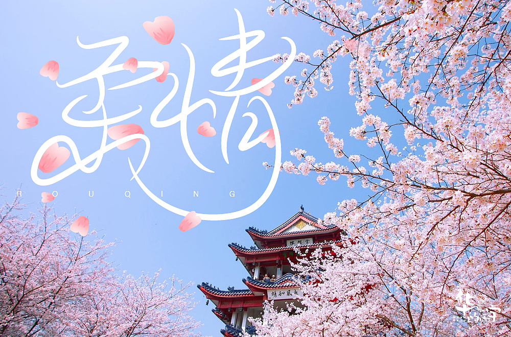 字体帮第1814篇