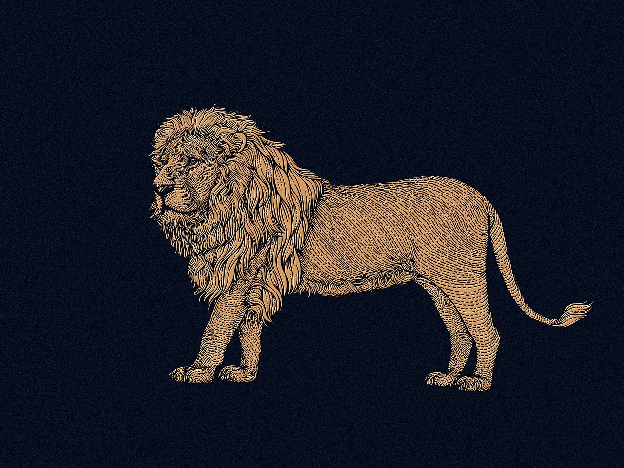 动物系列插画-2（图ZMjk2NTY0NDU2） - 商业插画 - 站酷设计师一叶插画原创素材 - 站酷ZCOOL