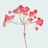 Yiyi_1111的头像