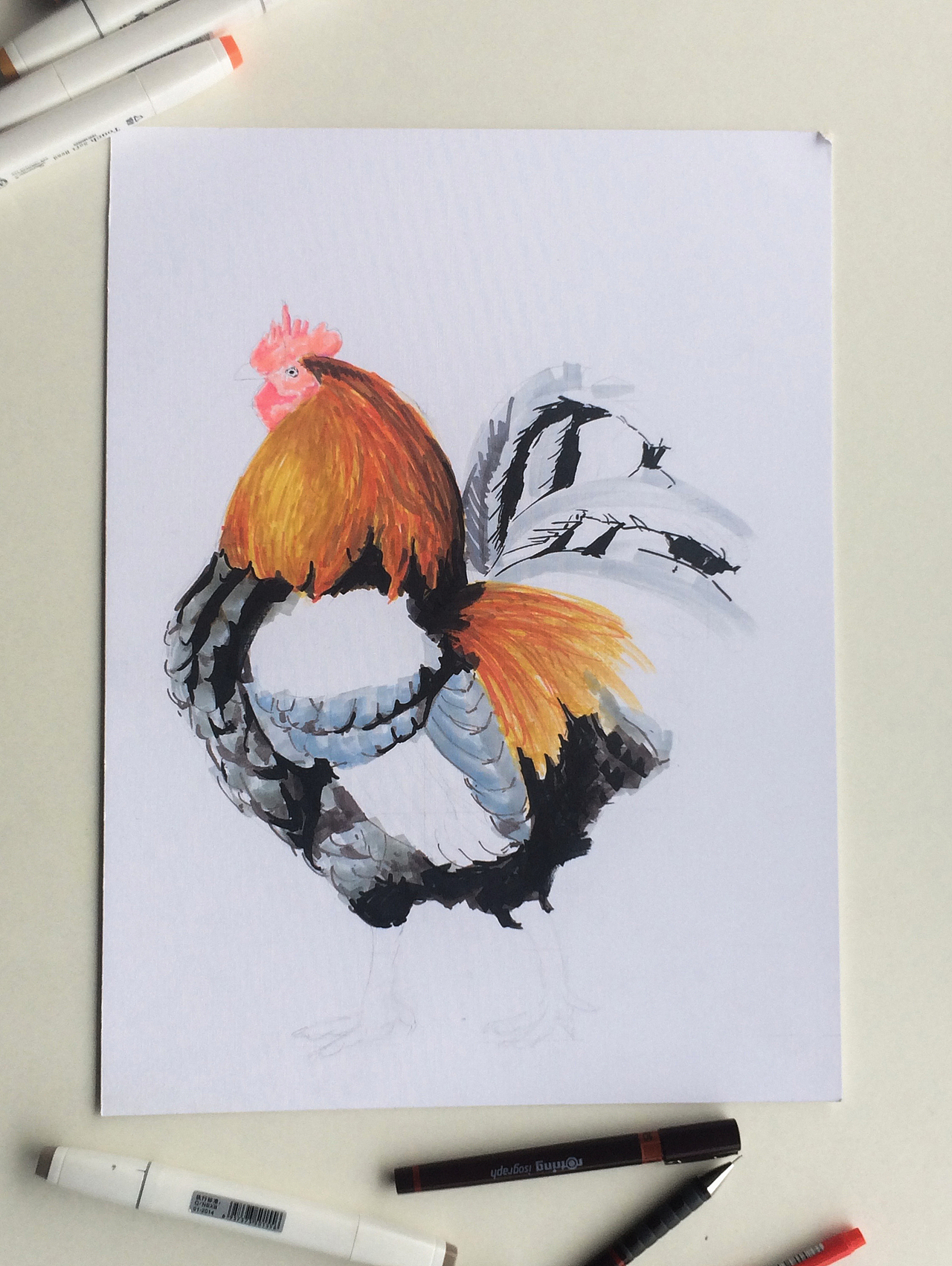 石思庆马克笔速涂大公鸡