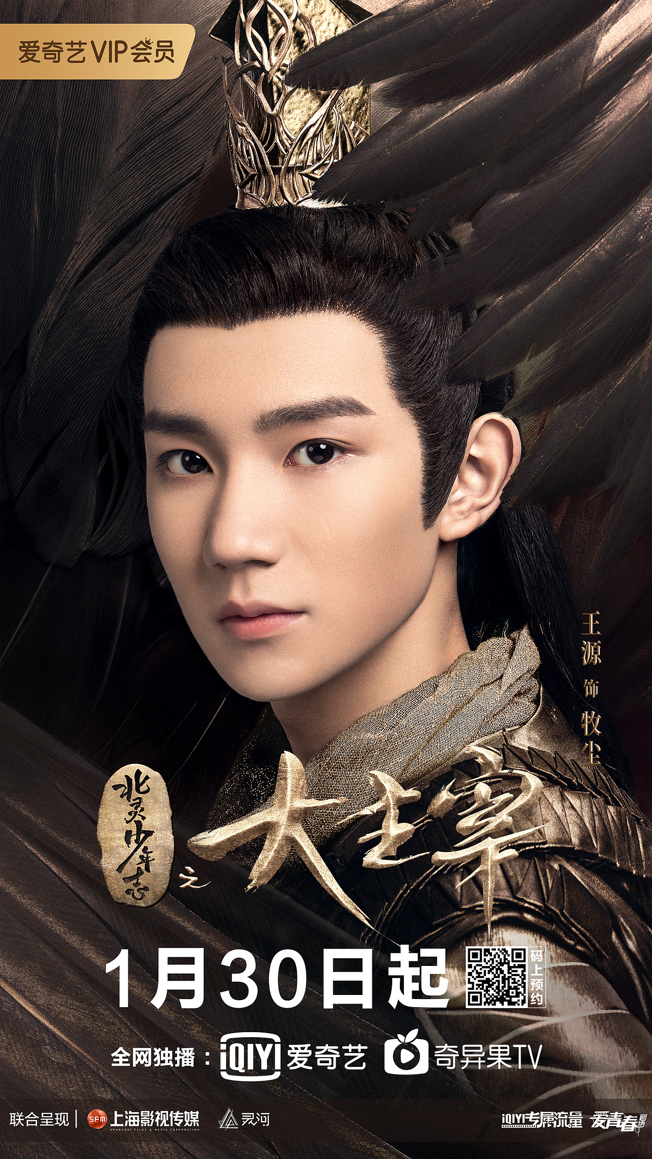 《北灵少年志之大主宰》海报