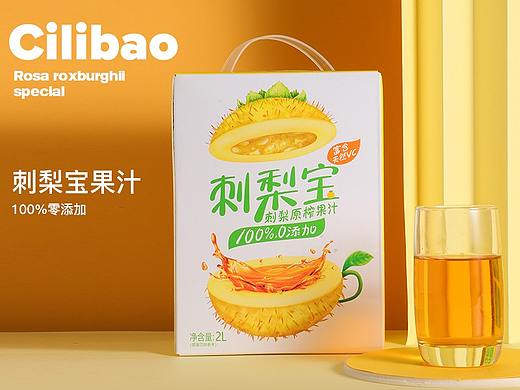 「 ledoor乐道」贵州特产刺梨宝详情页策划分享