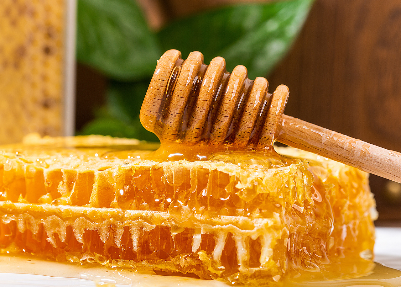 蜂巢蜜静物拍摄