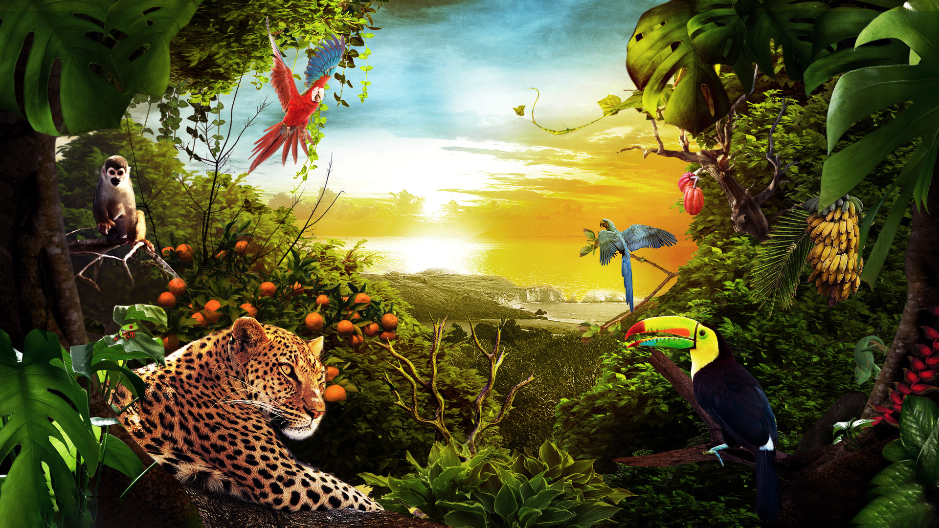 森林合成作品展示