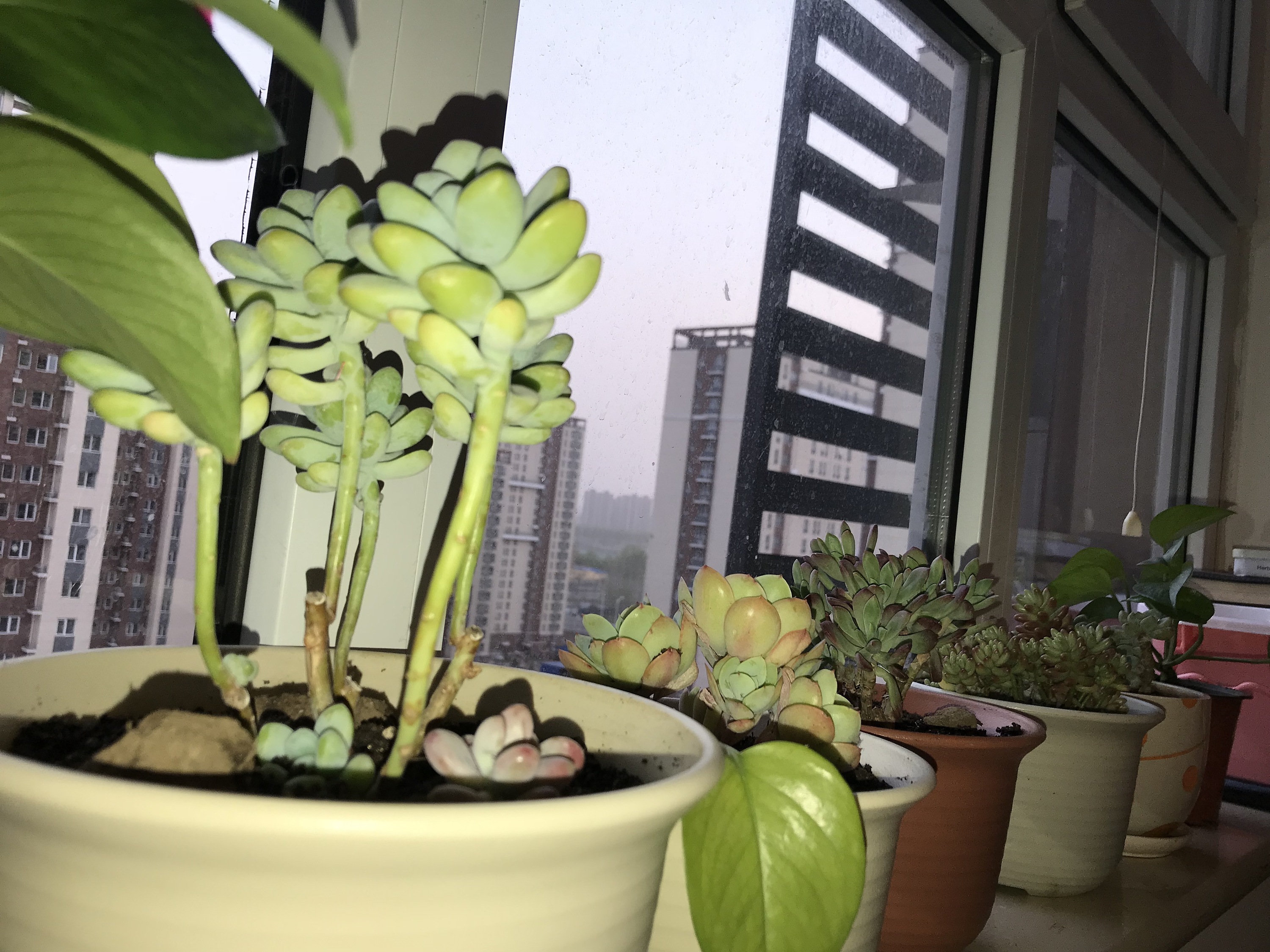 杨飞日常生活照片分享