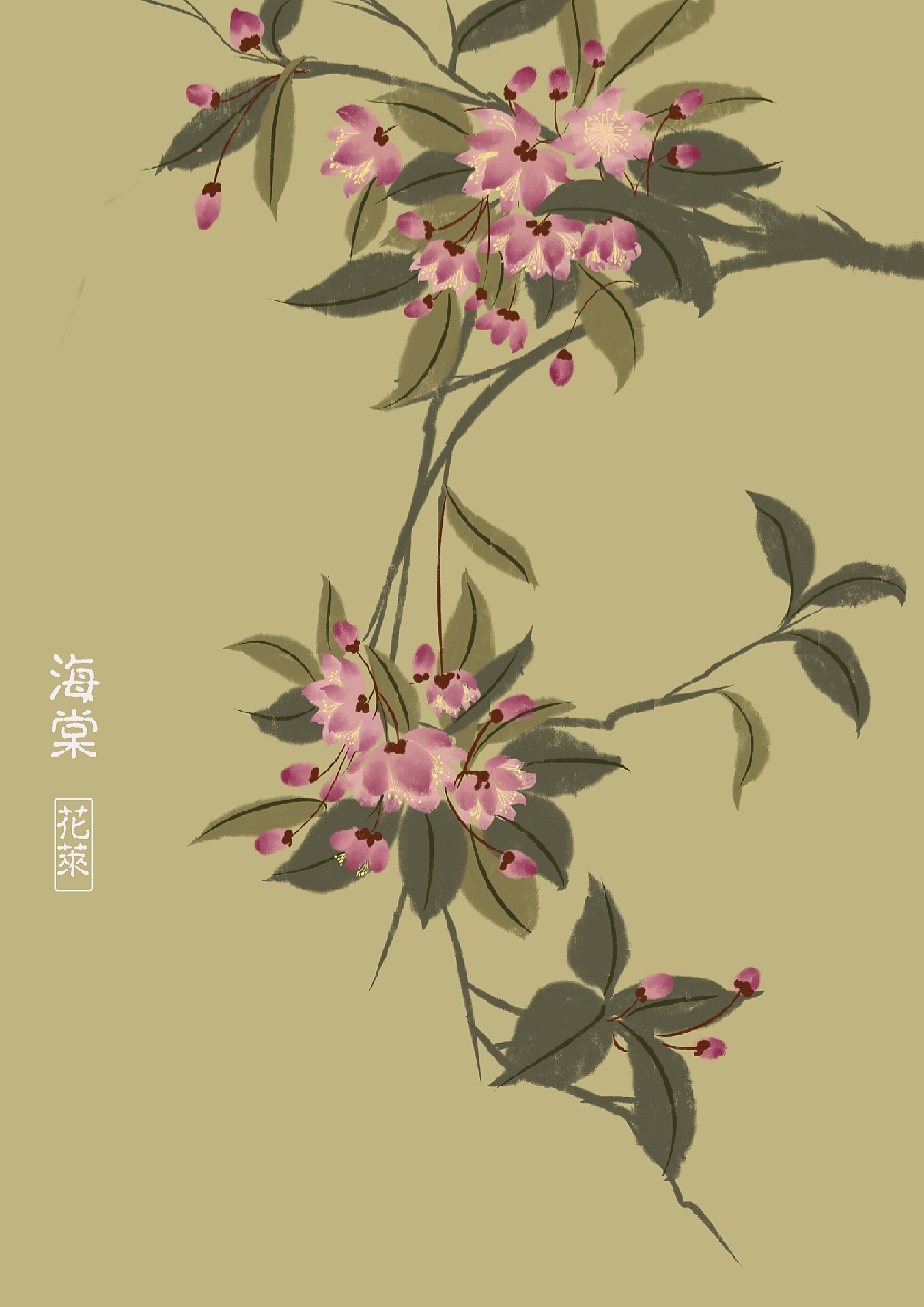 国风花花合集（图ZMjA2NzM5OTM2） - 创作习作 - 站酷设计师花莱原创素材 - 站酷ZCOOL
