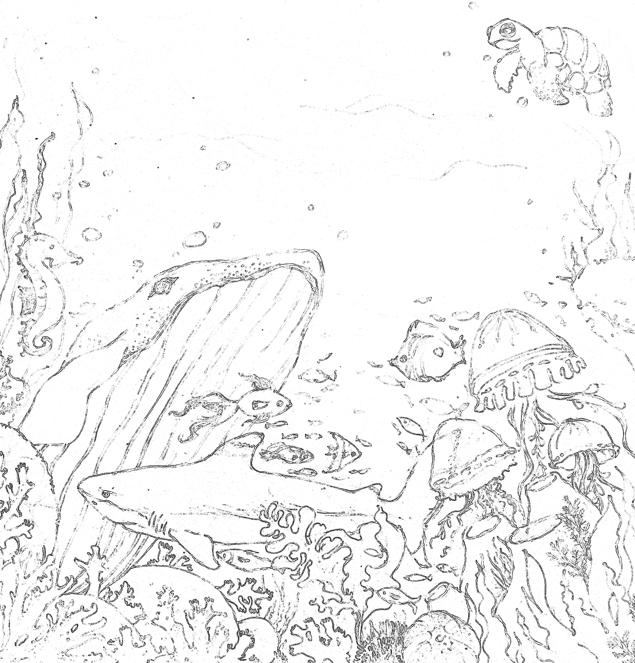 《The Wonderful Ocean》