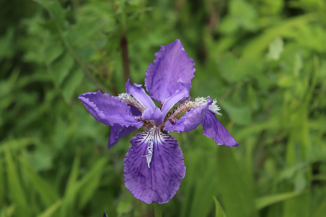 第一次摄影课作业