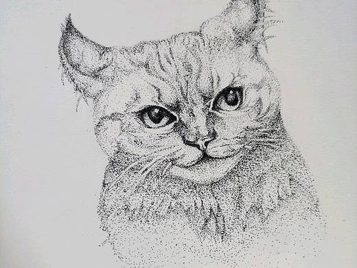 点绘 猫咪