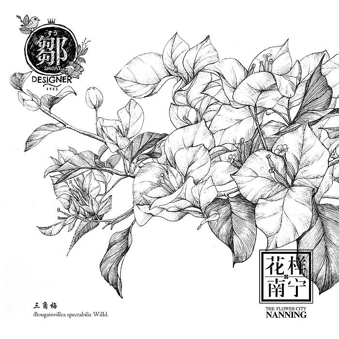 花卉插画及邮折设计（图ZNTE5MTE4NDA=） - 商业插画 - 站酷设计师鄒慶原创素材 - 站酷ZCOOL