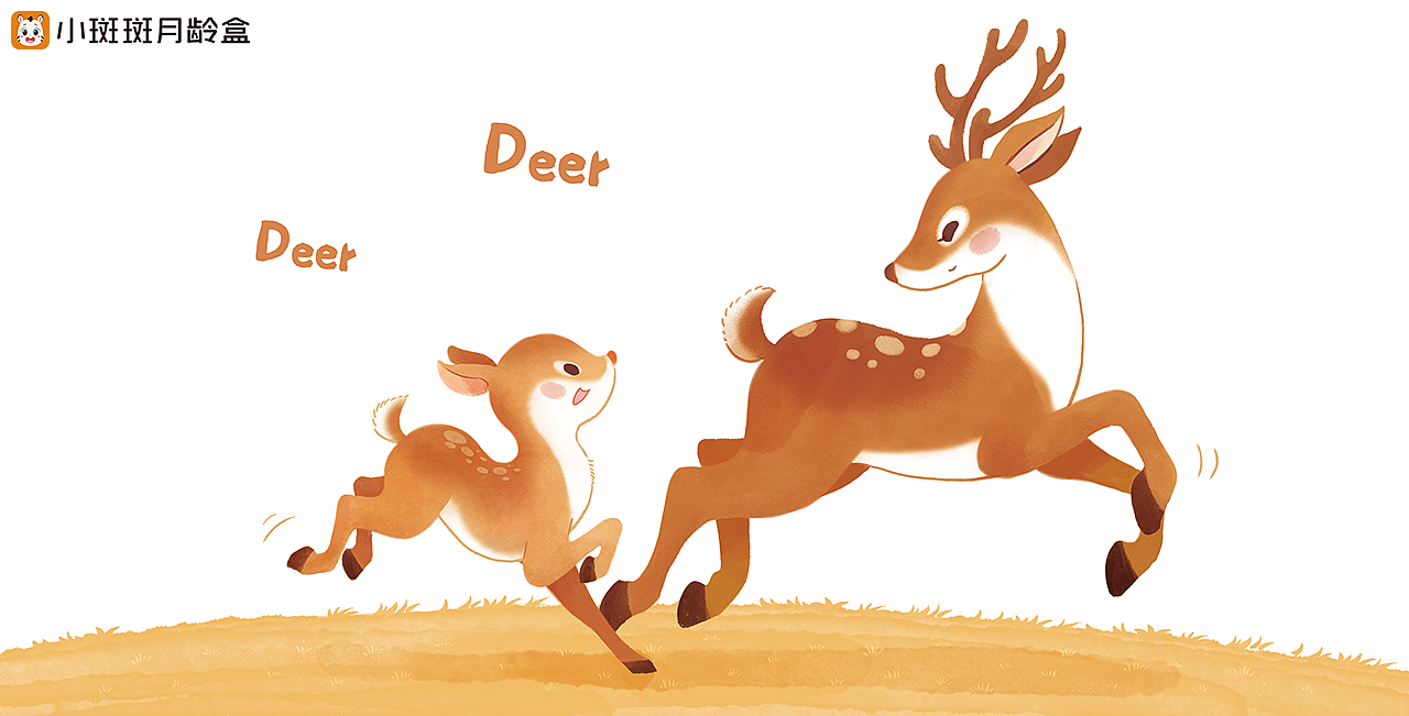 小斑斑绘本风格创意展示(动物篇)