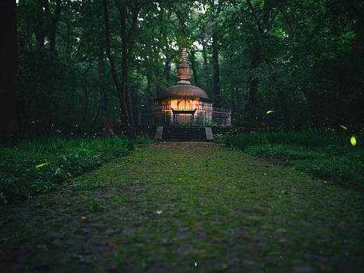 螢火之森（個(gè)人主頁(yè)-ZNDA3NDYzMDg=） - 風(fēng)光攝影 - 站酷設(shè)計(jì)師JingPacify原創(chuàng)素材 - 站酷ZCOOL