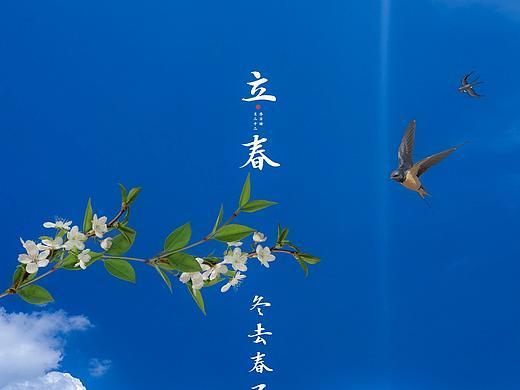 立春海报