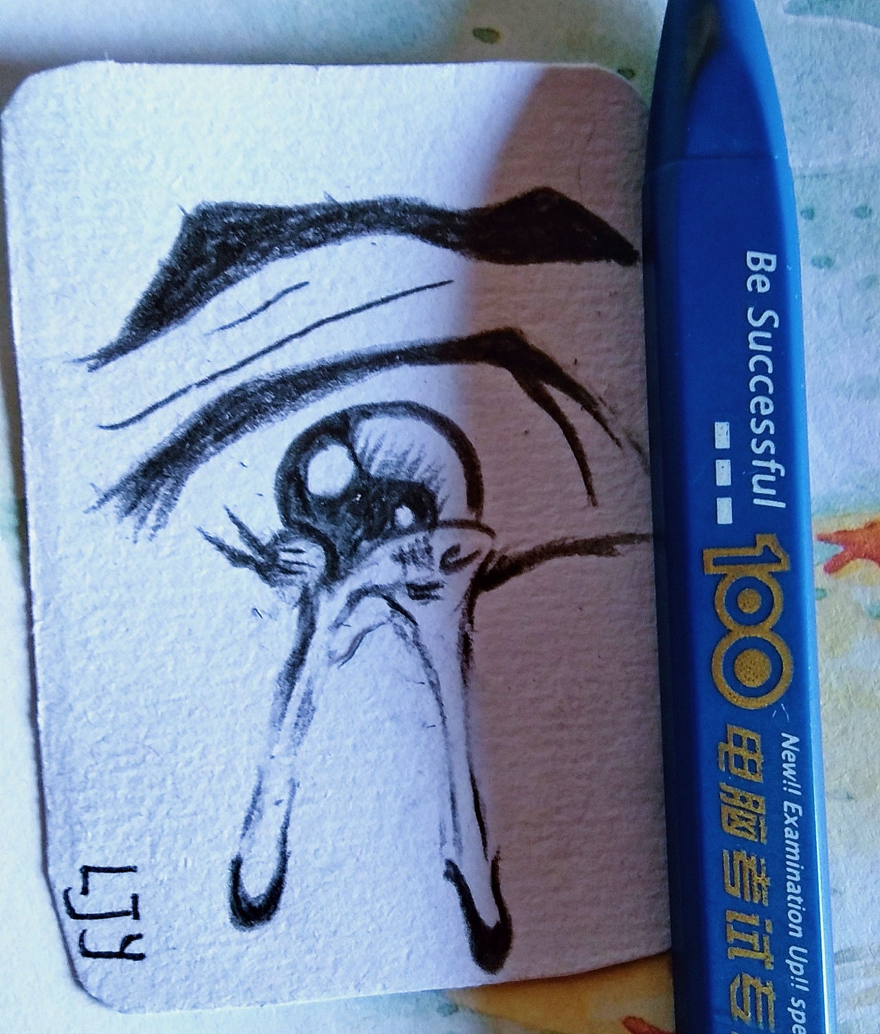 《你是我的眼》