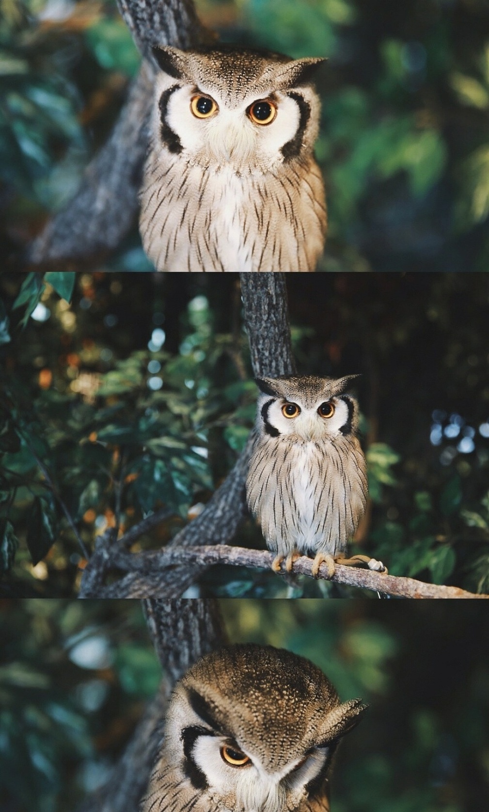 刘浪摄影作品《路灯之影》