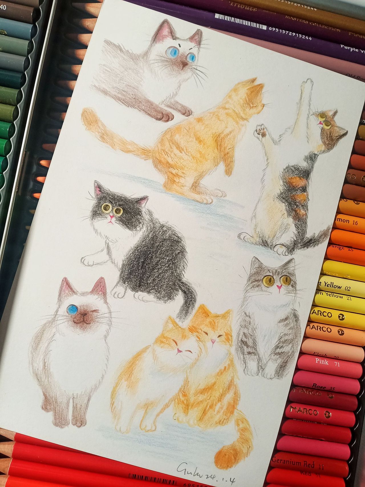 彩铅猫咪