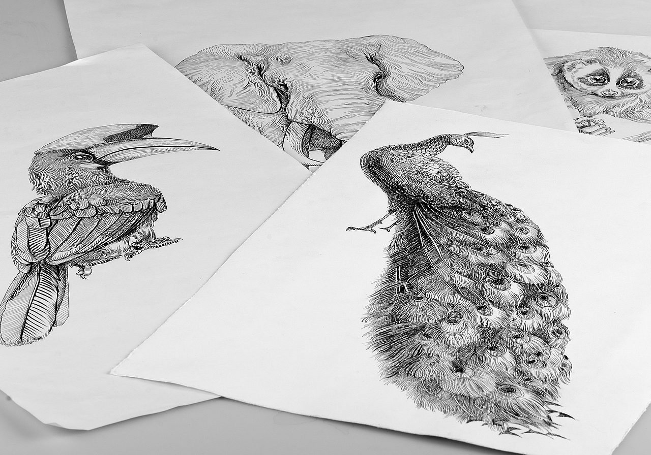 雨林古树茶品牌包装插画(图ZNjMzODA5NjA=) - 商业插画 - 站酷设计师秋岭QIULING原创素材 - 站酷ZCOOL