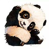 起风了MX的头像