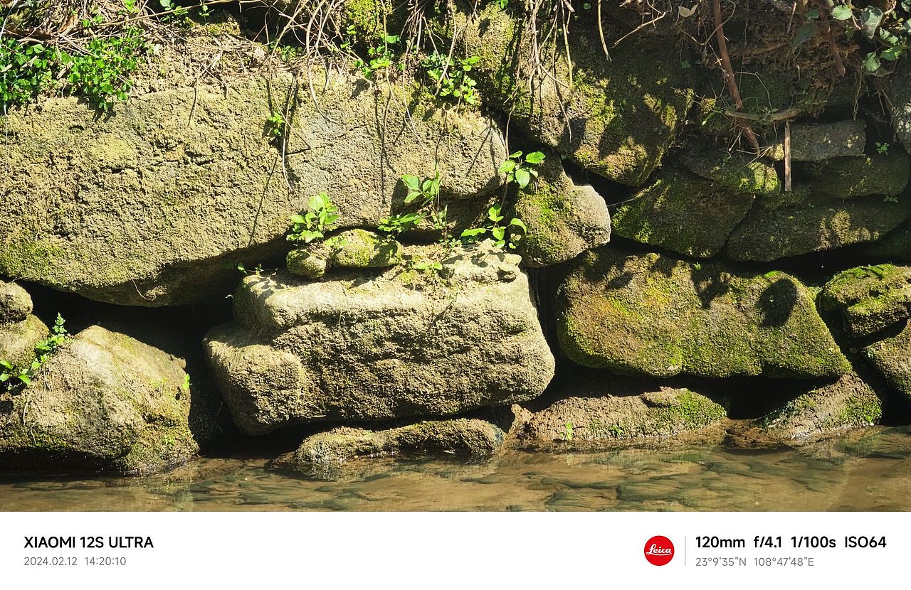 随拍2（图ZMzYxNzYyMTA4） - 人文/纪实摄影 - 站酷设计师木糖醇饕餮原创素材 - 站酷ZCOOL