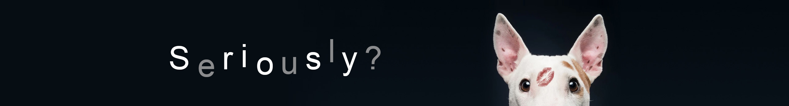 L_tianqi的個(gè)人主頁(yè)（封面預(yù)覽） - 主頁(yè)封面設(shè)置 - 站酷設(shè)計(jì)師L_tianqi原創(chuàng)素材 - 站酷ZCOOL