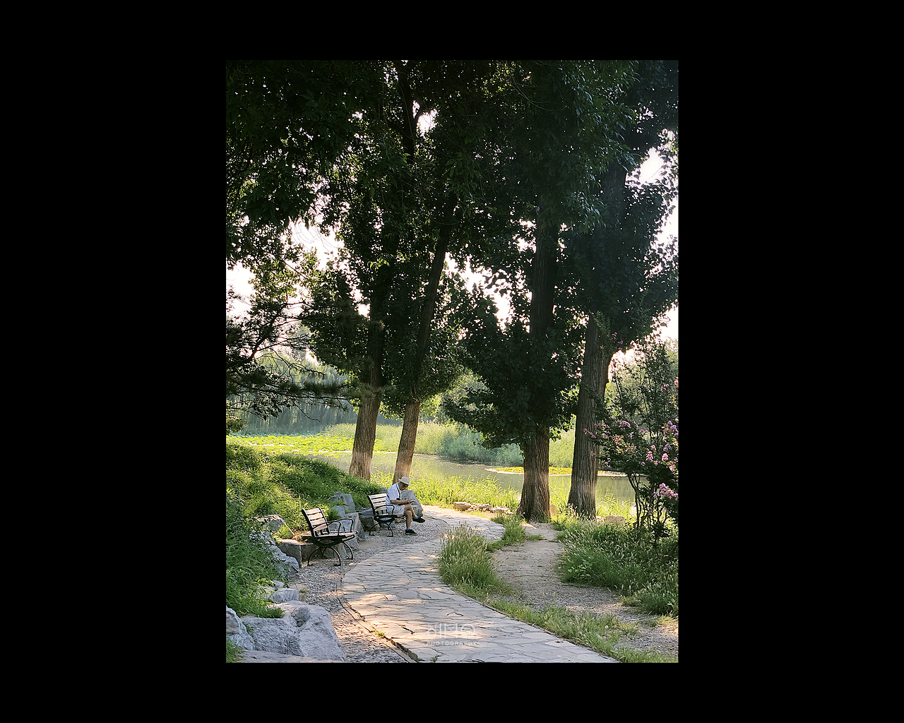 2019 | 手机摄影合集