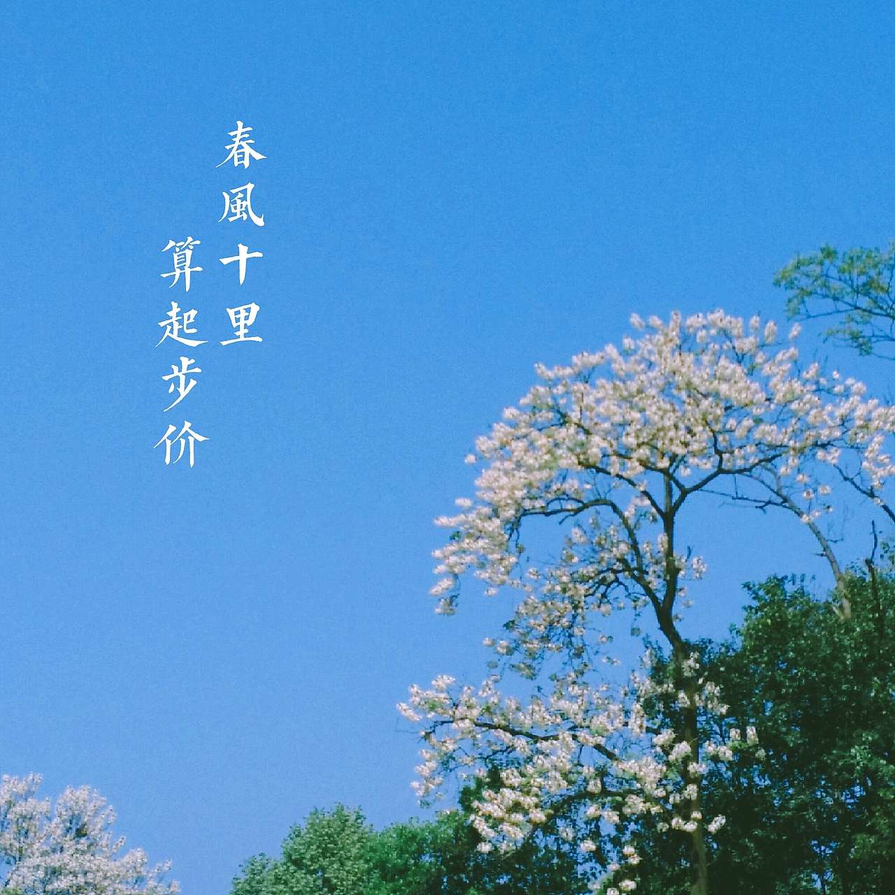 《关于春天的故事》