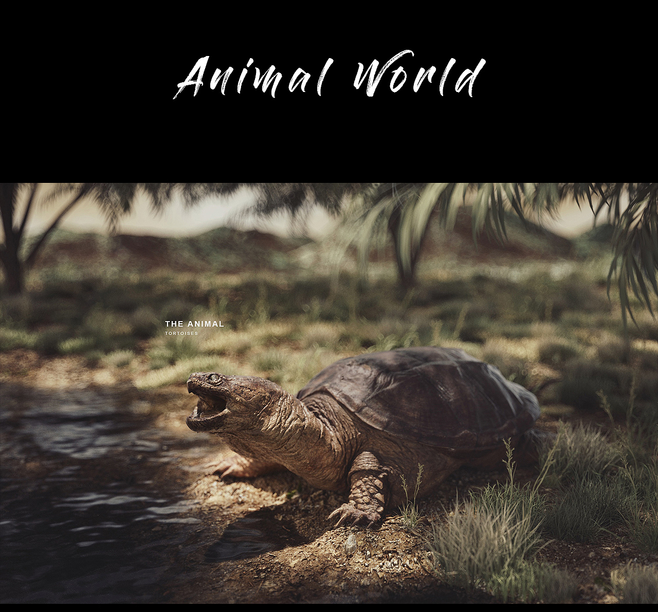 动物世界（图ZMjMyNjQ3MjYw） - 人物/生物 - 站酷设计师over番茄酱原创素材 - 站酷ZCOOL