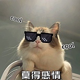 抓一只铁柱的头像