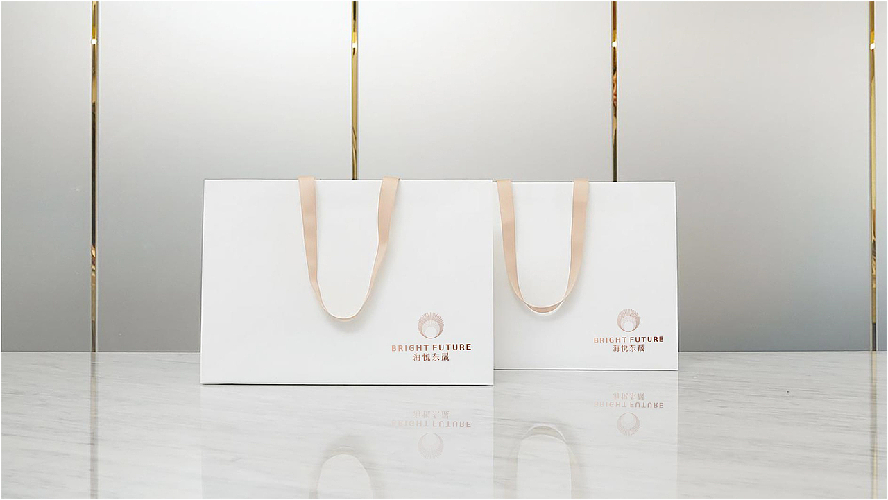 轻奢项目提案稿