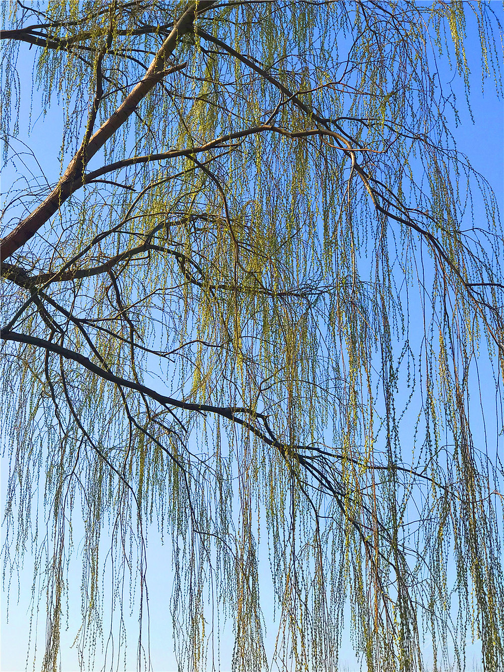 刘勇良纪实摄影:柳依依