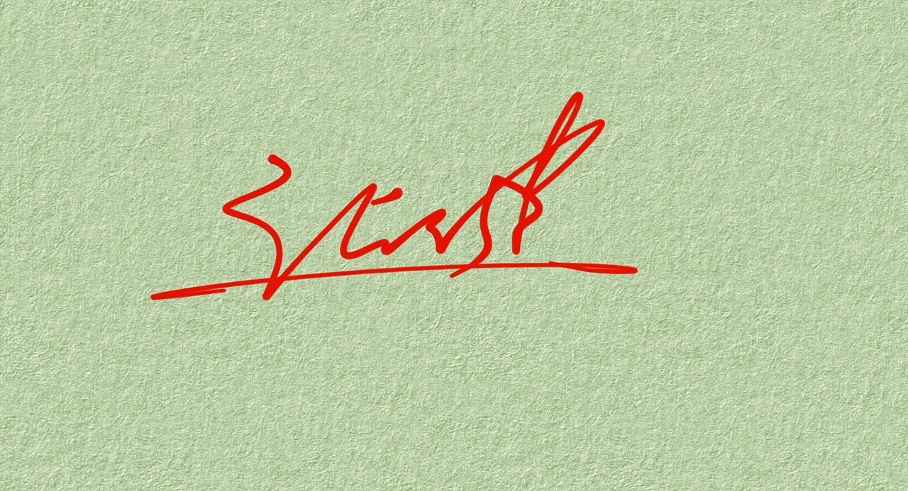 张健的签名一款丨艺术签名丨签名设计丨签名怎么写好看