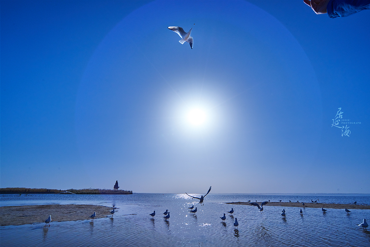 西出阳关 北过居延 行之万里（图ZMzkxODIxNjA=） - 风光摄影 - 站酷设计师晓若xiaoruo原创素材 - 站酷ZCOOL