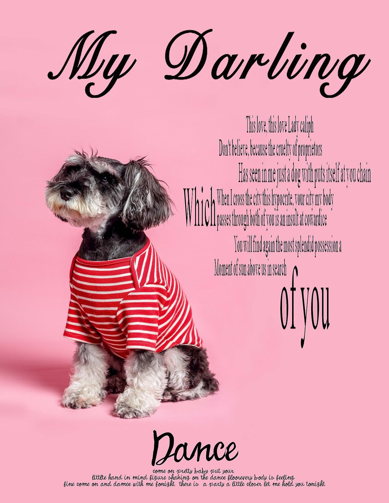 苏州哮天犬宠物摄影（图ZNjkxMzk4OTY=） - 宠物摄影 - 站酷设计师ray正文原创素材 - 站酷ZCOOL