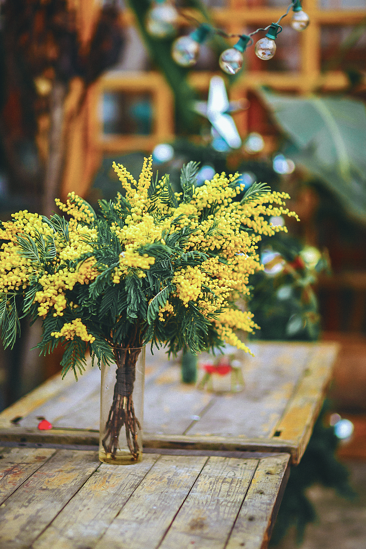 新年好，送你一束花（图ZMTA1MjI4MzY0） - 人像摄影 - 站酷设计师Alice和糯米糍原创素材 - 站酷ZCOOL