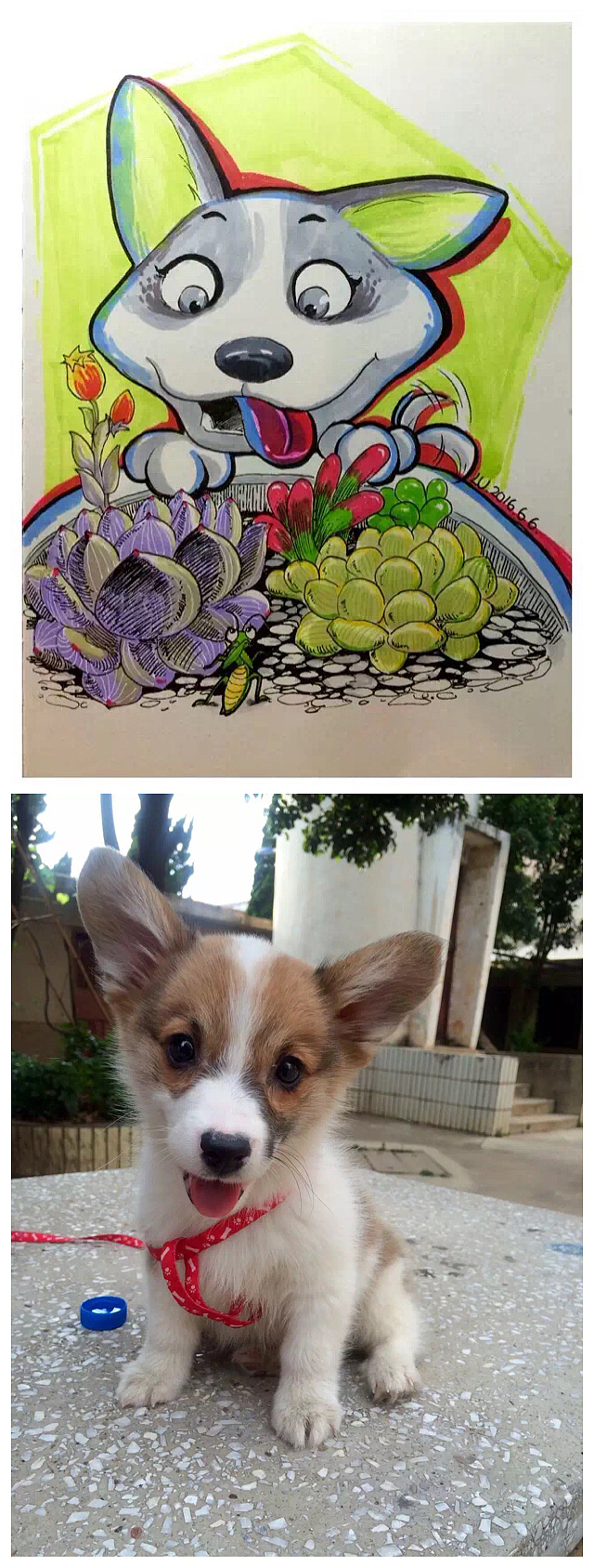 大半年的涂鸦日常