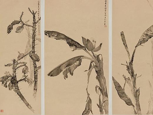 #CWIVC影像年赛#-《院南识花之猪耳掌•芭蕉•佛肚树》