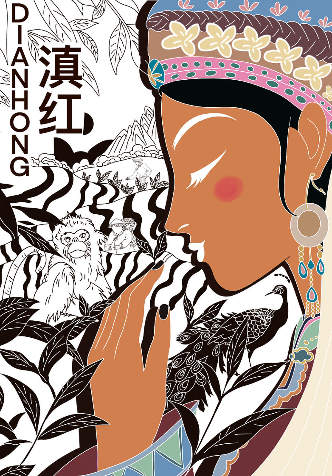 云南茶叶包装插画