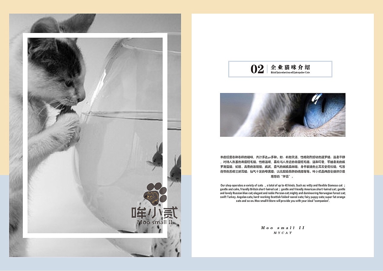 哞小贰宠物猫店