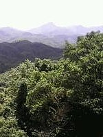 梅州五指石摄影