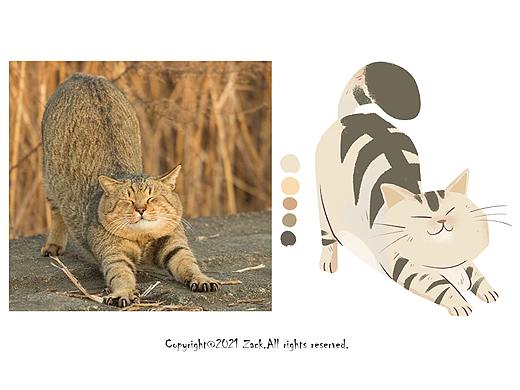 猫-插画