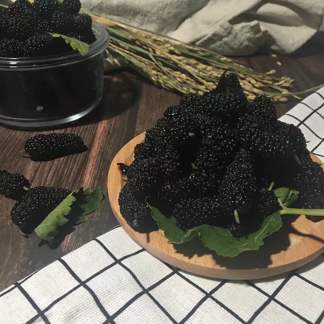 桑葚（图ZMTA5ODYyMTA4） - 产品摄影 - 站酷设计师panda0222原创素材 - 站酷ZCOOL