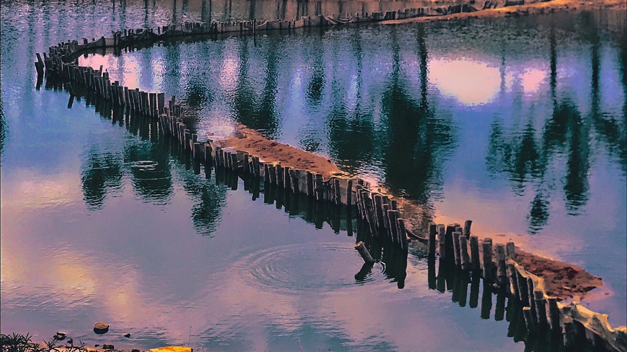 Nostalgia, Sosso. 2019